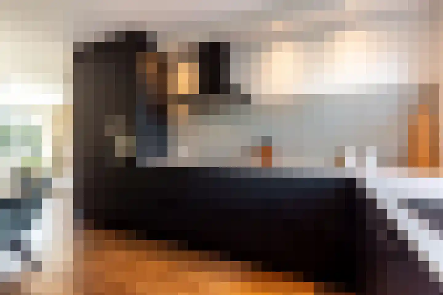 Chansondreef 39 Harderwijk thumbnail 17