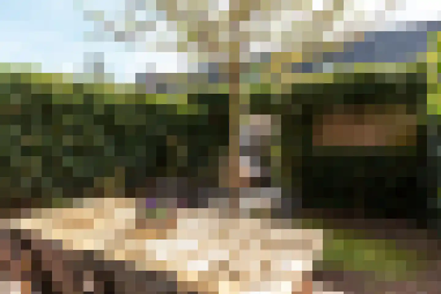Chansondreef 39 Harderwijk thumbnail 35
