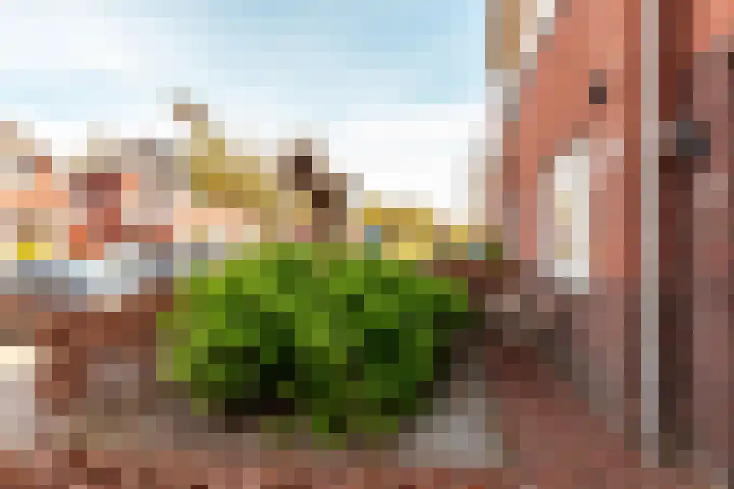 Chansondreef 39 Harderwijk thumbnail 36