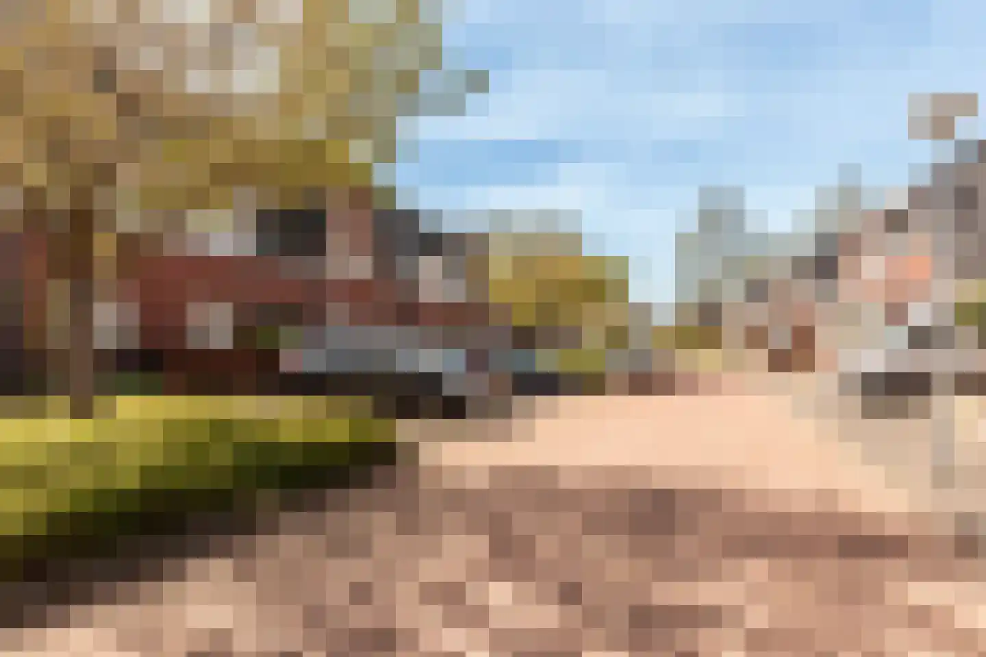 Chansondreef 39 Harderwijk thumbnail 38