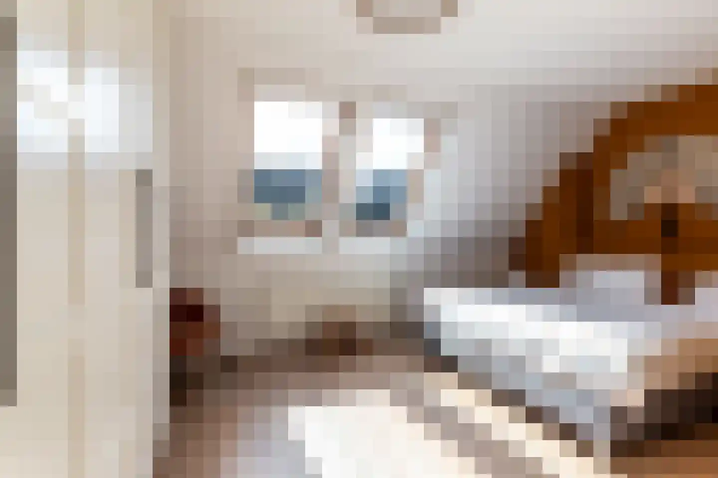Chansondreef 39 Harderwijk thumbnail 4