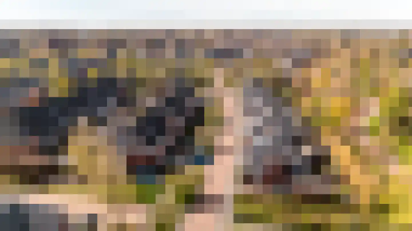 Chansondreef 39 Harderwijk thumbnail 44