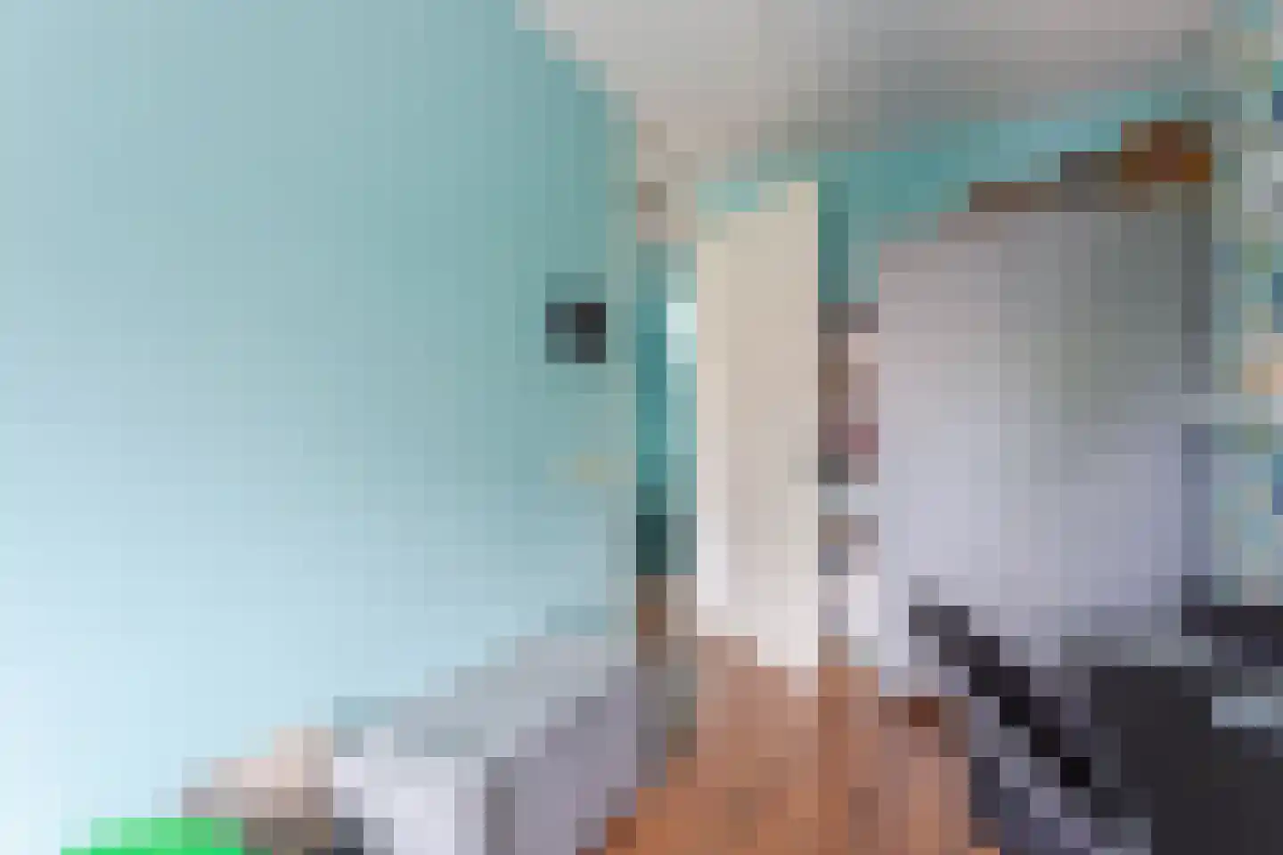 Chansondreef 65 Harderwijk thumbnail 30