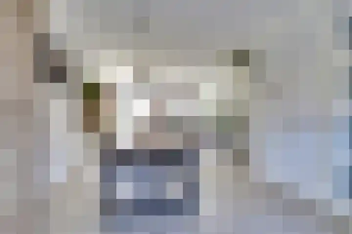 Chansondreef 75 Harderwijk thumbnail 12
