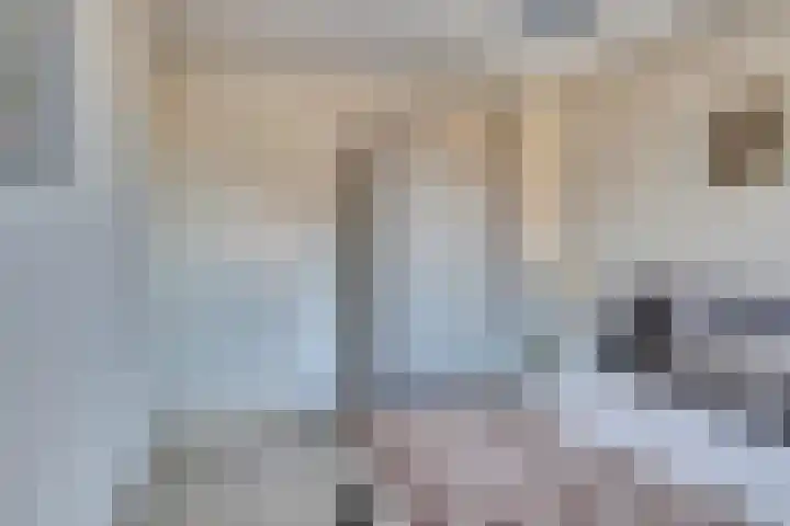 Chansondreef 75 Harderwijk thumbnail 20