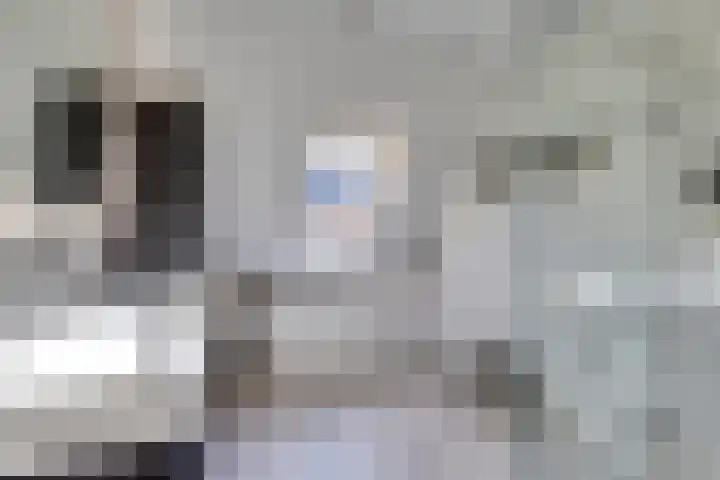 Chansondreef 75 Harderwijk thumbnail 25