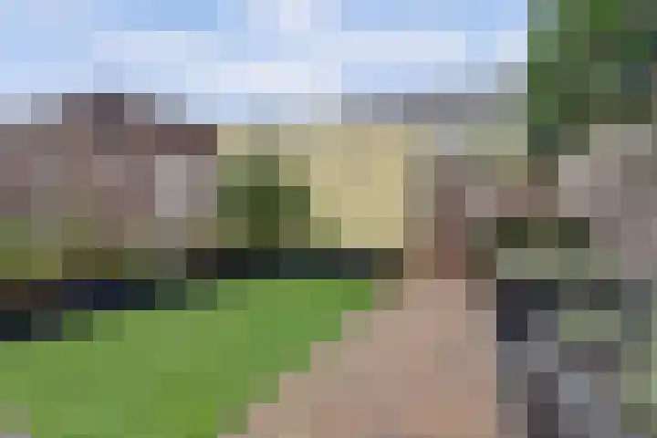 Chansondreef 75 Harderwijk thumbnail 36