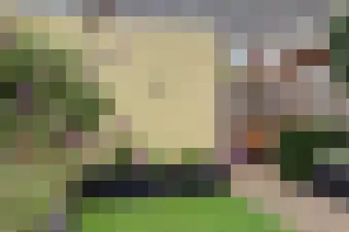 Chansondreef 75 Harderwijk thumbnail 37