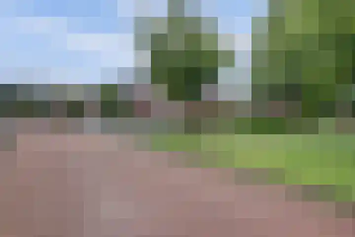 Chansondreef 75 Harderwijk thumbnail 41