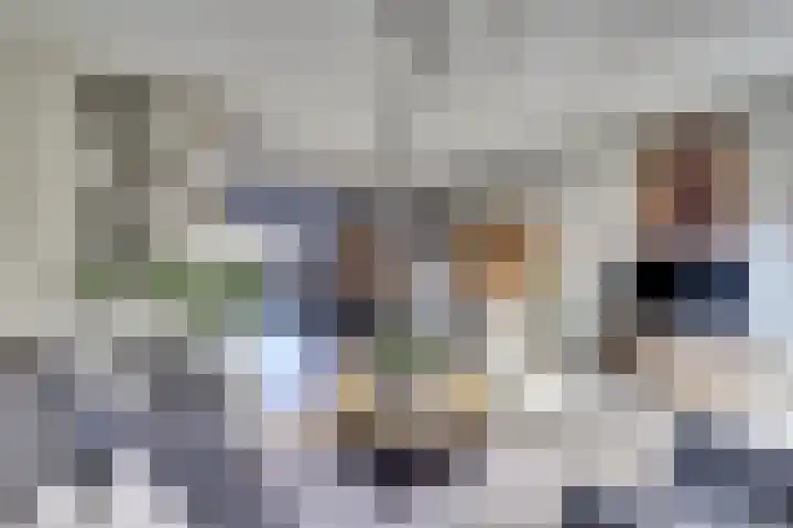 Chansondreef 75 Harderwijk thumbnail 9