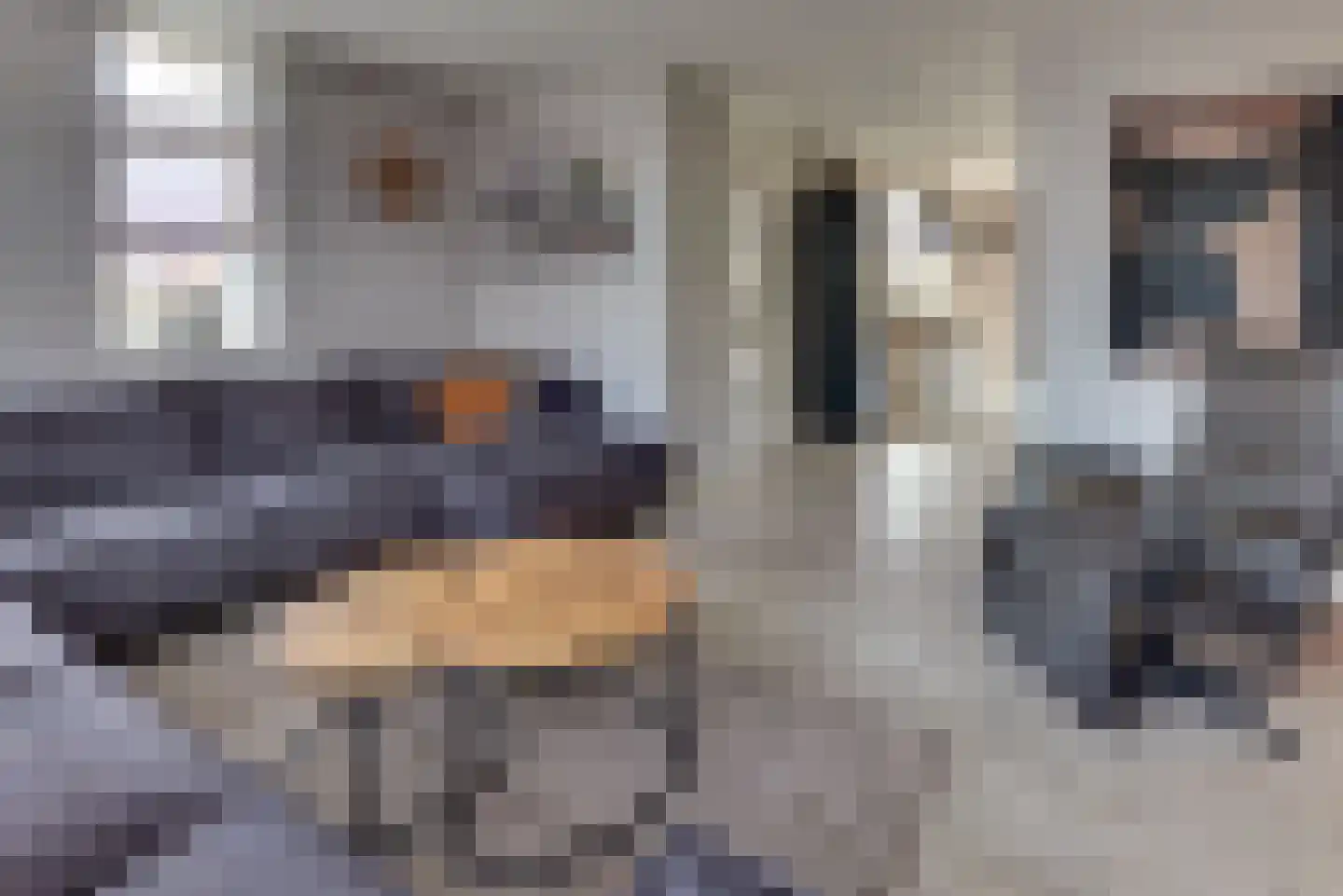 Chansondreef 85 Harderwijk thumbnail 10