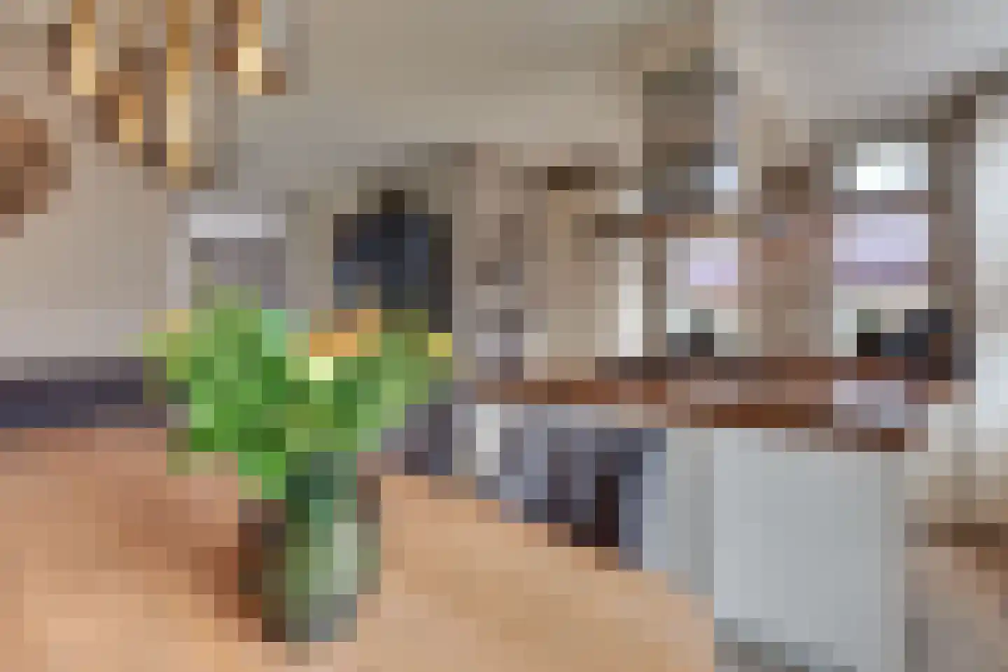 Chansondreef 85 Harderwijk thumbnail 13