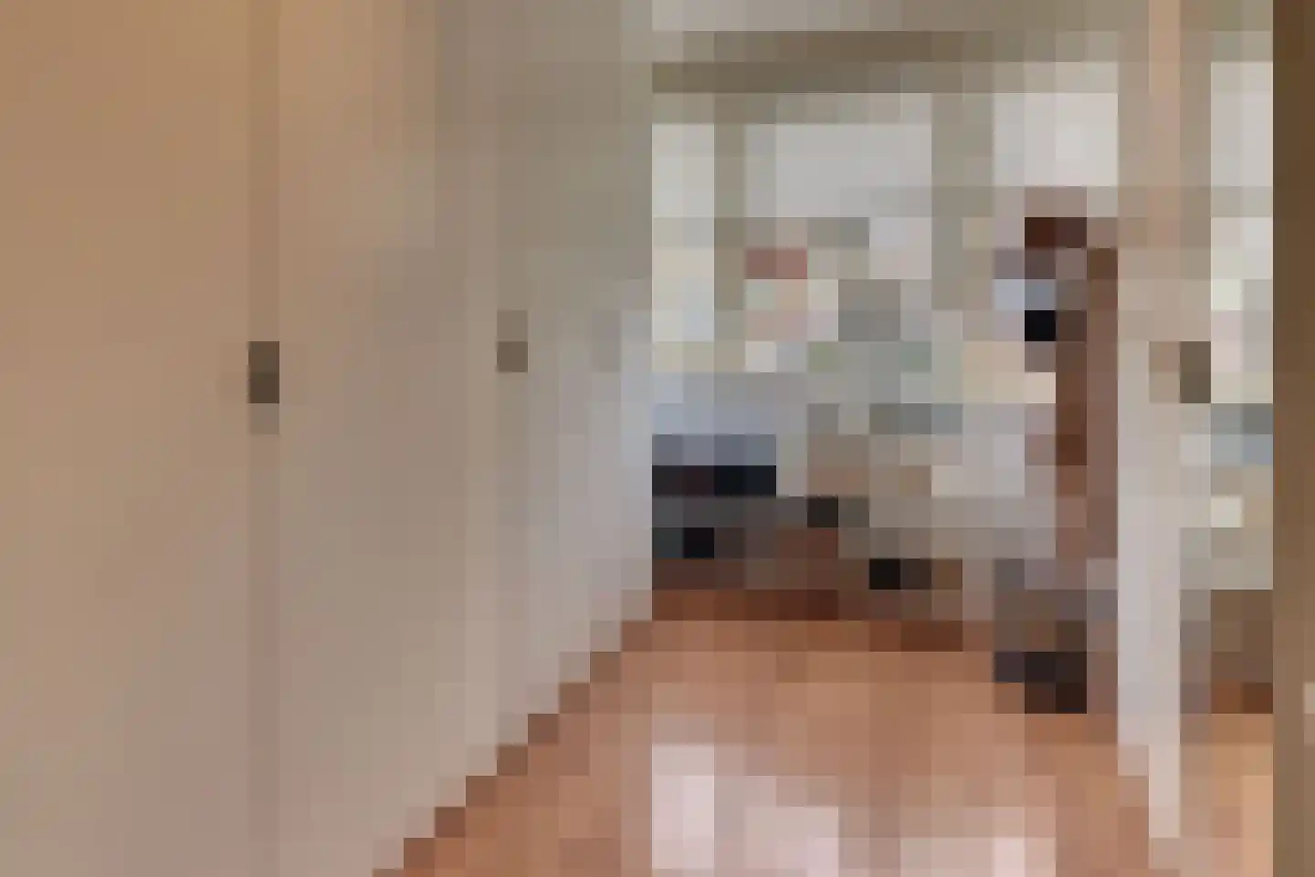 Chansondreef 85 Harderwijk thumbnail 24