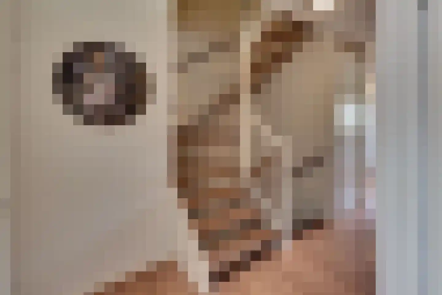 Chansondreef 85 Harderwijk thumbnail 33