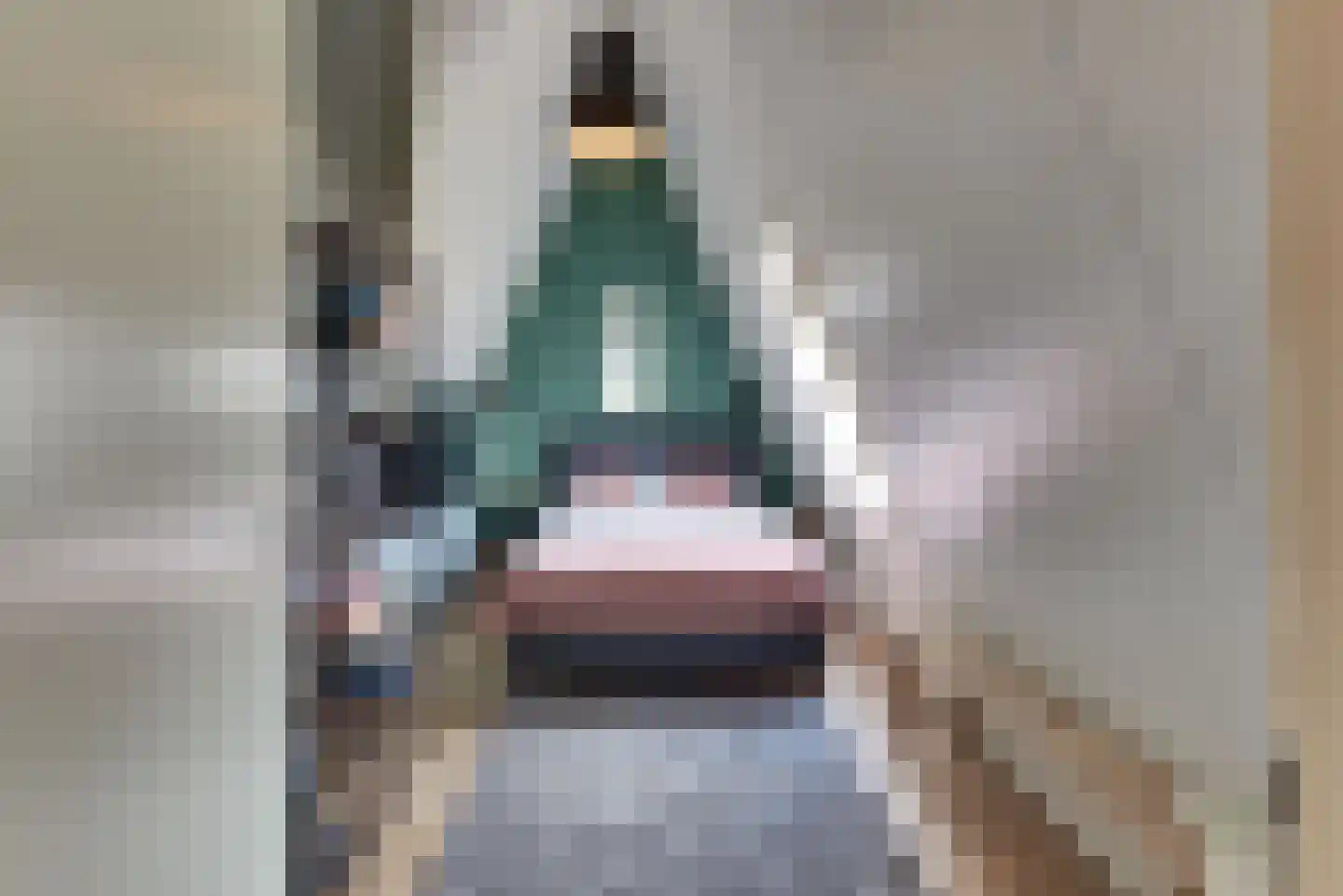 Chansondreef 85 Harderwijk thumbnail 34