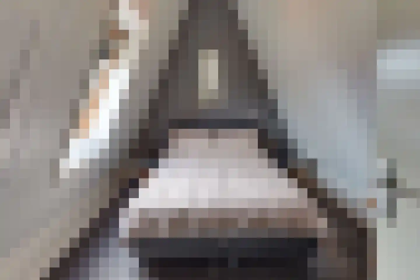 Chansondreef 85 Harderwijk thumbnail 36