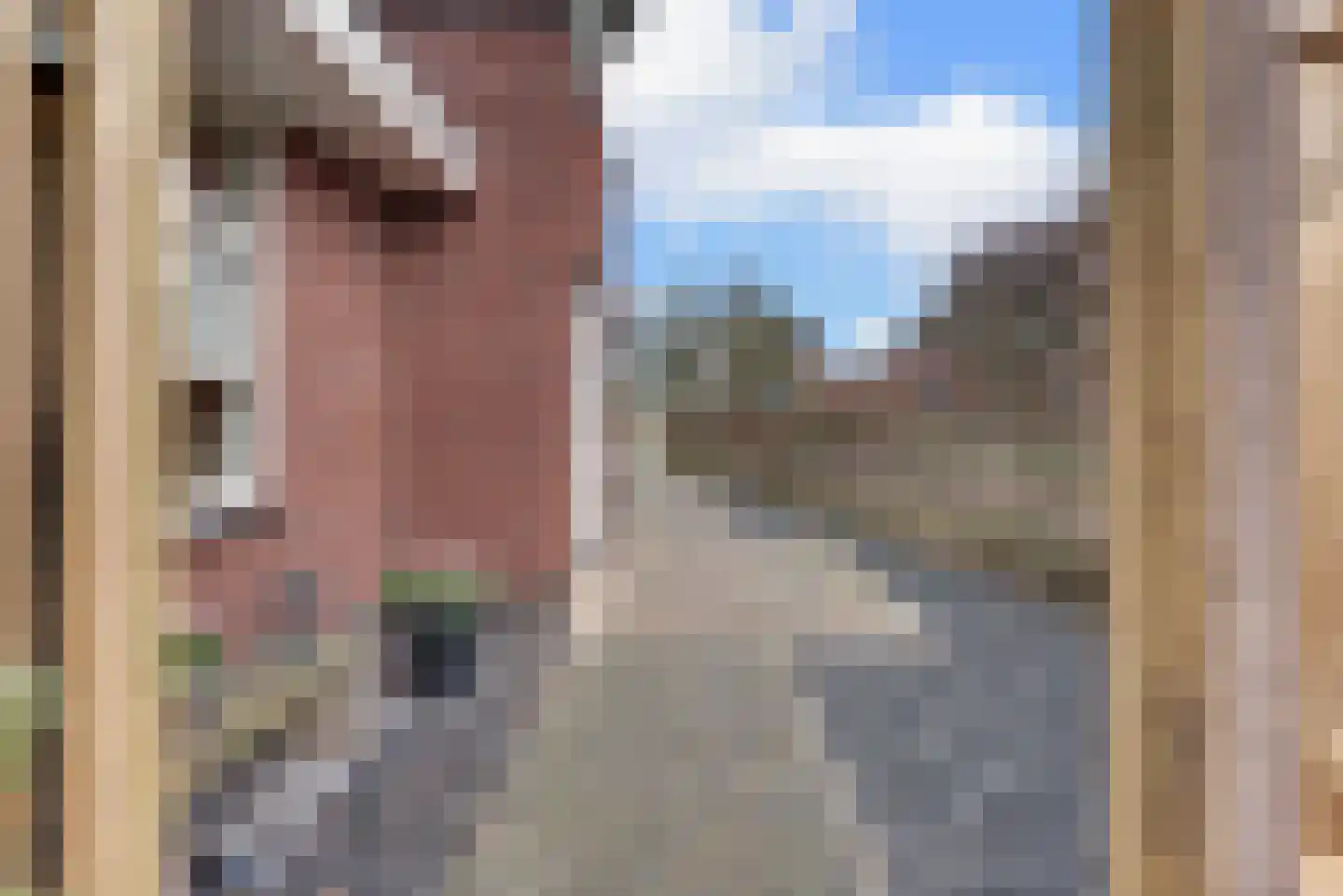 Chansondreef 85 Harderwijk thumbnail 46