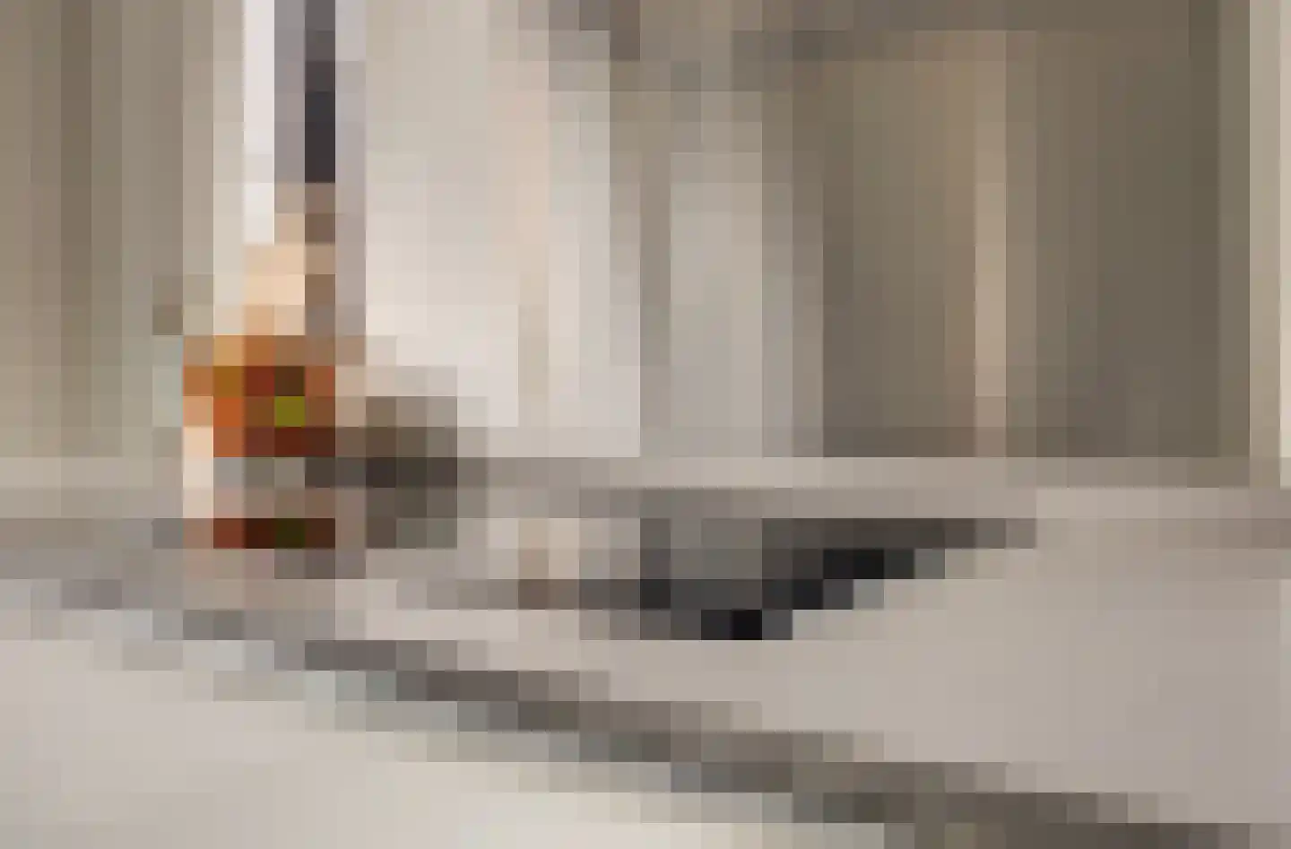 Charactostraat 30 Capelle aan den IJssel thumbnail 17