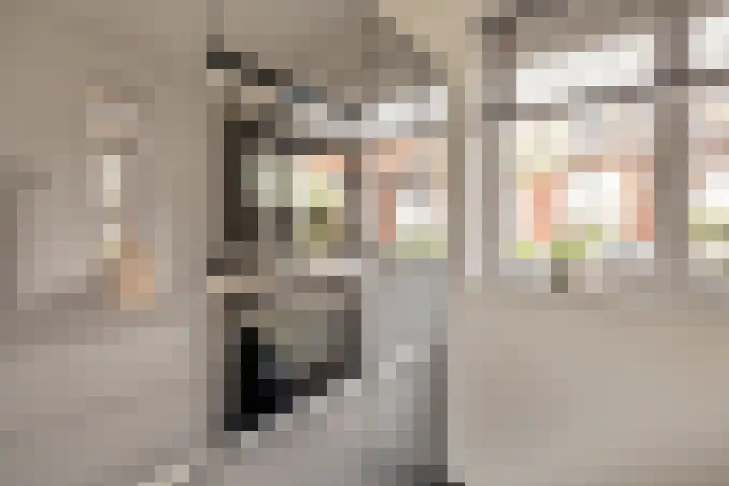 Charactostraat 30 Capelle aan den IJssel thumbnail 4