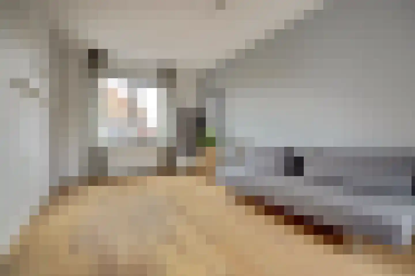 Charactostraat 30 Capelle aan den IJssel thumbnail 23