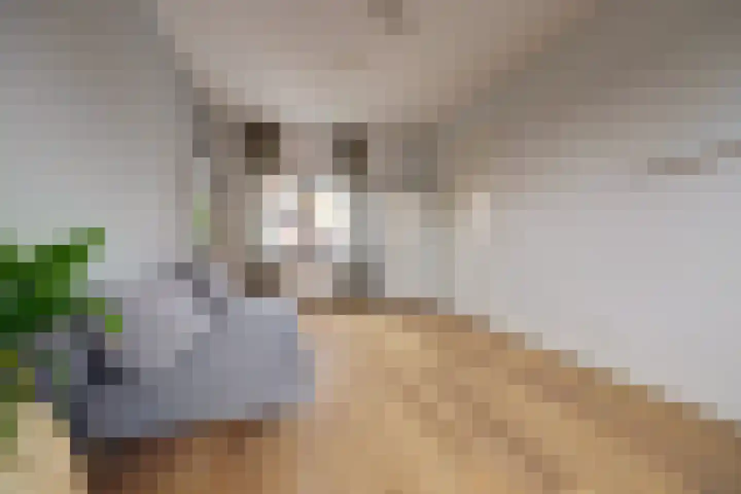 Charactostraat 30 Capelle aan den IJssel thumbnail 7
