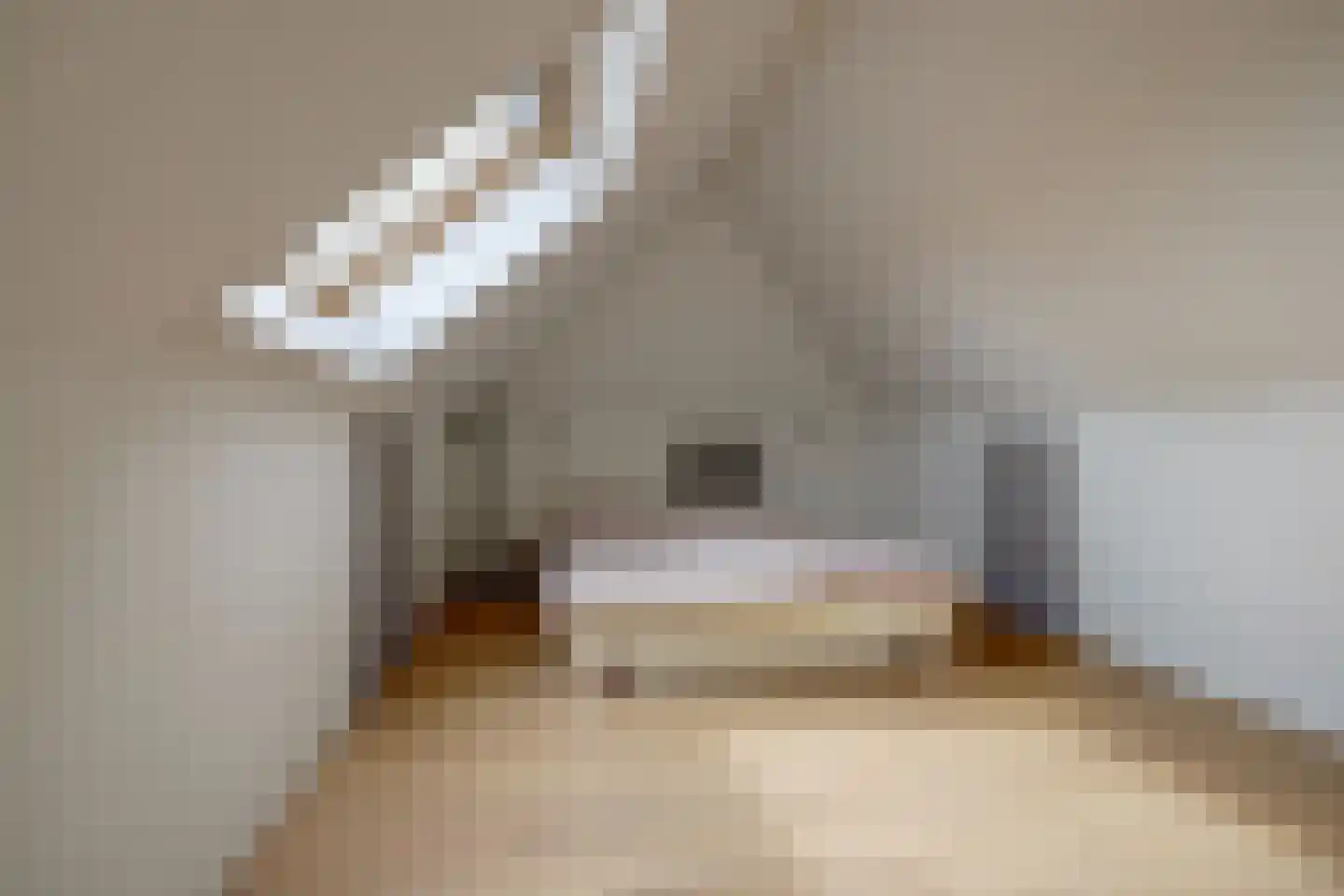 Charactostraat 30 Capelle aan den IJssel thumbnail 12