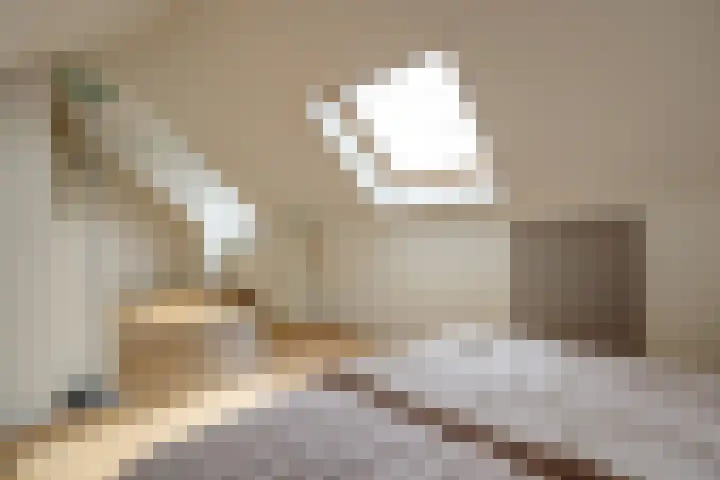 Charactostraat 30 Capelle aan den IJssel thumbnail 32
