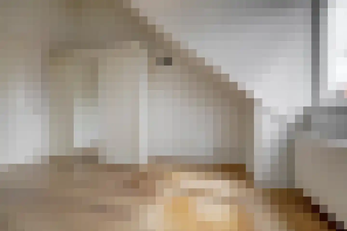 Charactostraat 30 Capelle aan den IJssel thumbnail 33