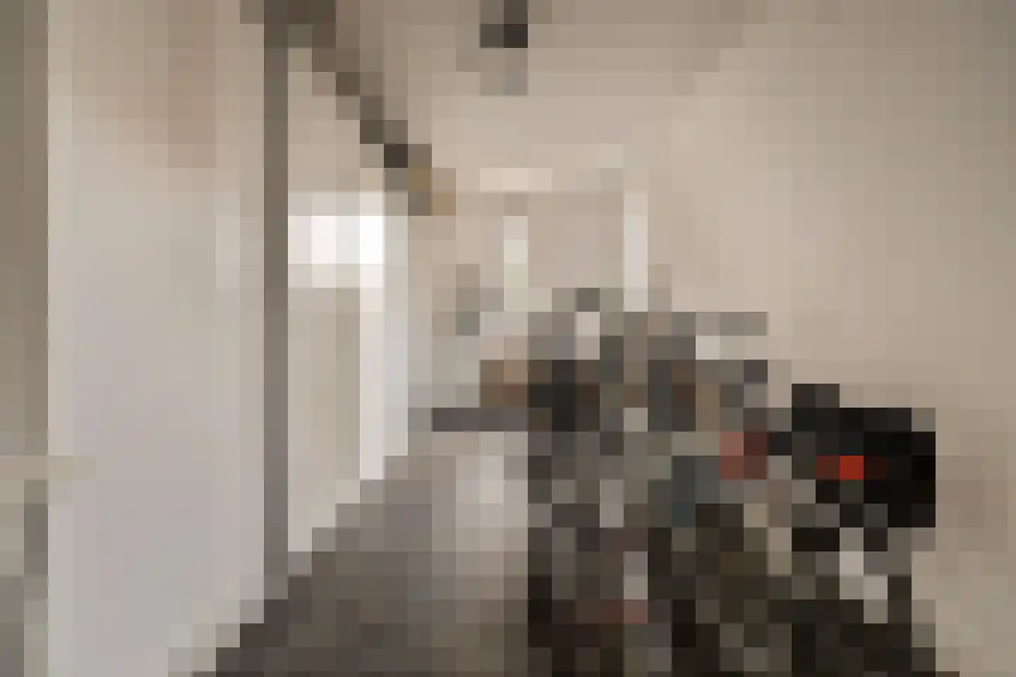Charactostraat 30 Capelle aan den IJssel thumbnail 13