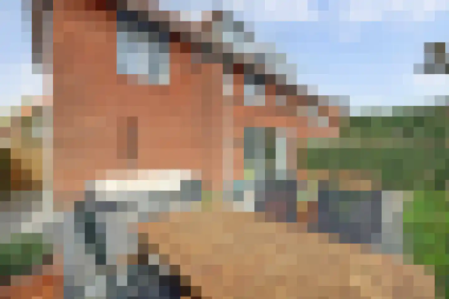 Charactostraat 30 Capelle aan den IJssel thumbnail 16