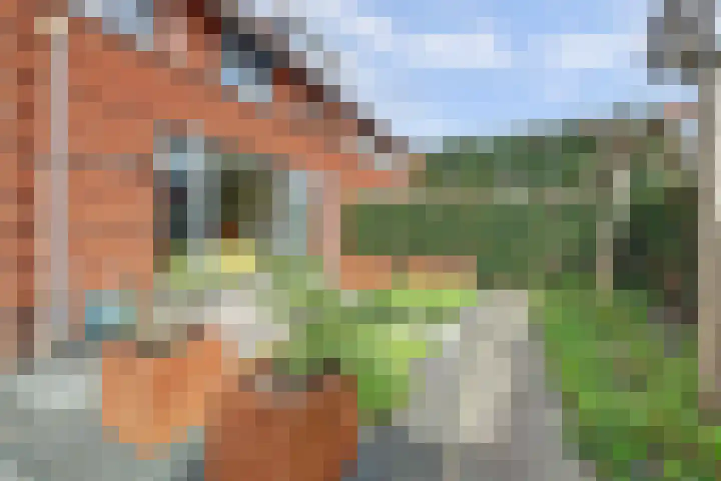 Charactostraat 30 Capelle aan den IJssel thumbnail 17