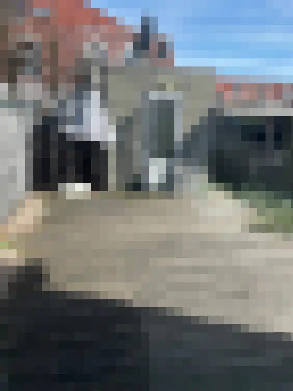 Charactostraat Capelle aan den IJssel thumbnail 5