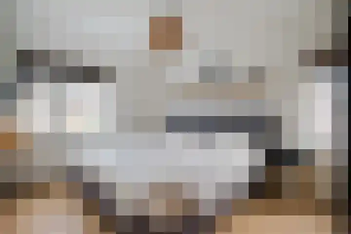 Charentelaan 26 Eindhoven thumbnail 11