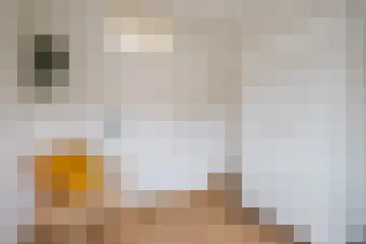 Charentelaan 26 Eindhoven thumbnail 14