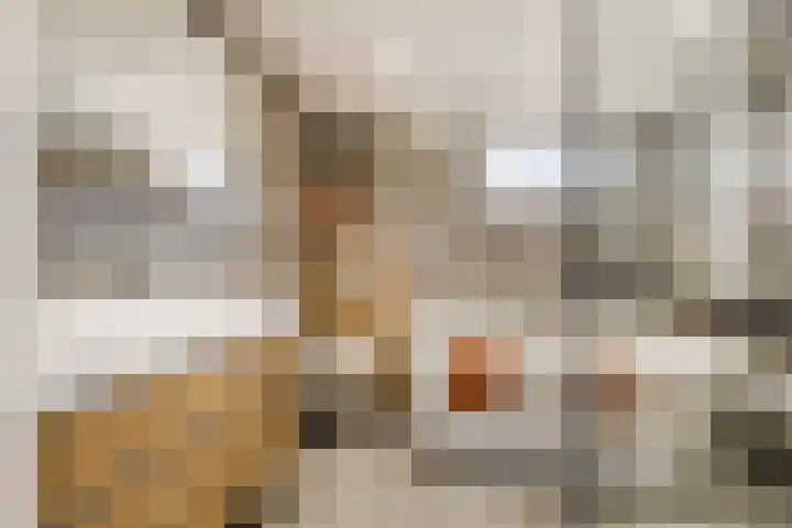Charentelaan 26 Eindhoven thumbnail 17