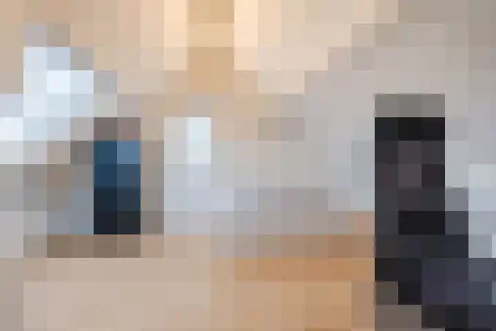 Charentelaan 26 Eindhoven thumbnail 18