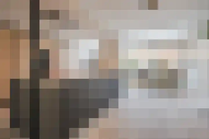 Charentelaan 26 Eindhoven thumbnail 8