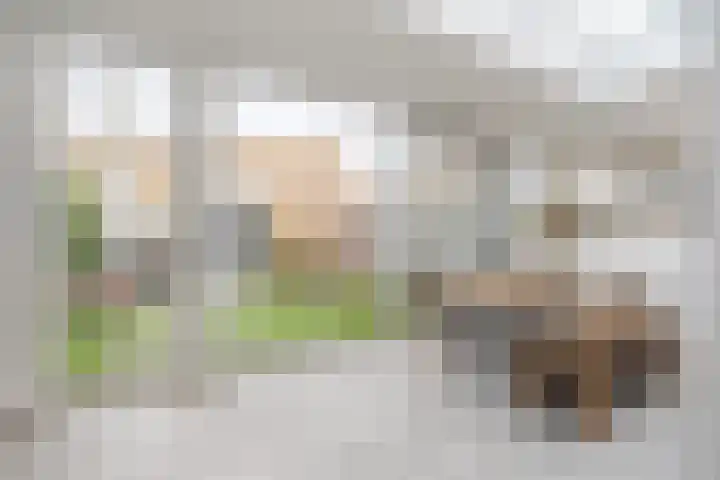 Charentelaan 26 Eindhoven thumbnail 9