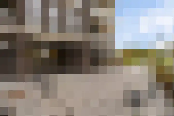 Charentestroom 11 Zoetermeer thumbnail 14