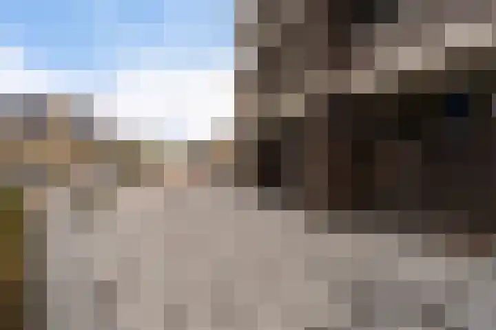 Charentestroom 11 Zoetermeer thumbnail 15