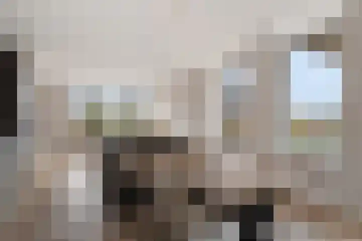 Charentestroom 11 Zoetermeer thumbnail 22