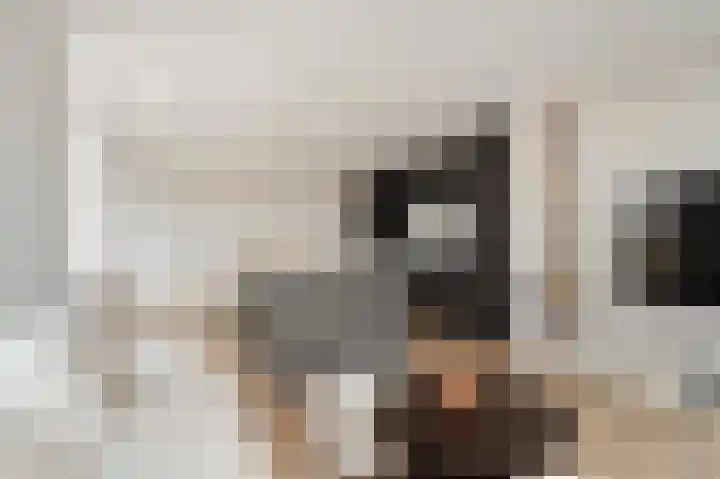 Charentestroom 11 Zoetermeer thumbnail 27