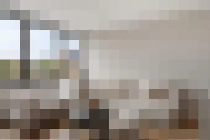Charentestroom 11 Zoetermeer thumbnail 29