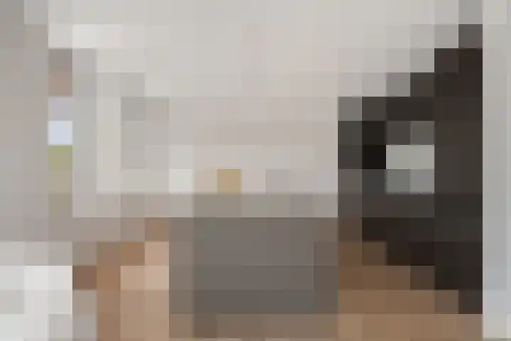 Charentestroom 11 Zoetermeer thumbnail 30