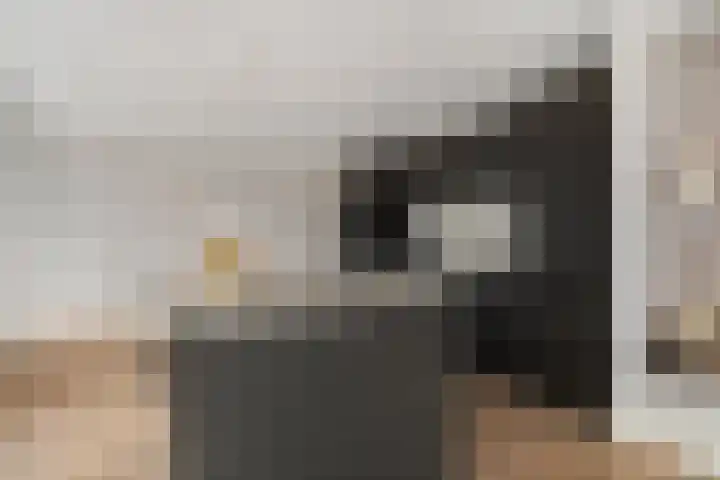 Charentestroom 11 Zoetermeer thumbnail 31