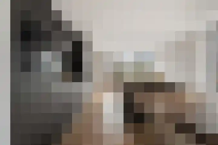 Charentestroom 11 Zoetermeer thumbnail 35