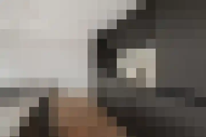 Charentestroom 11 Zoetermeer thumbnail 36