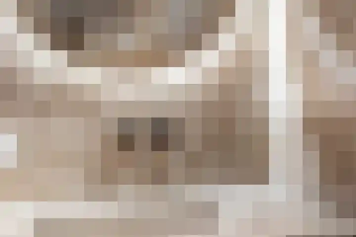 Charentestroom 11 Zoetermeer thumbnail 46