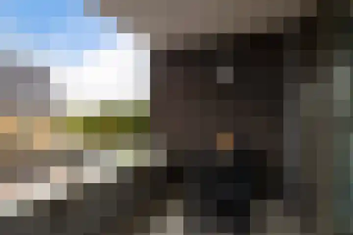 Charentestroom 11 Zoetermeer thumbnail 52