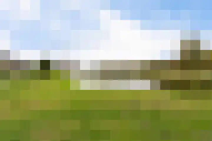 Charentestroom 11 Zoetermeer thumbnail 56